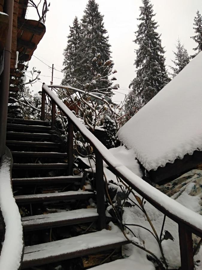 Любе Hotel Jablunicja Kültér fotó